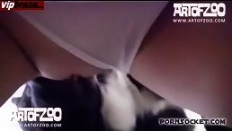 [Zoo] ArtOfZoo - Big Dog Fuck Her Pussy