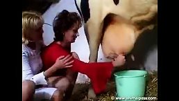 Dirty MILF women fuck group sex with horse and cow