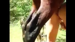 Horny short hair ass fucking horse free