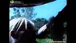 Animals porn free cock outdoor with horse
