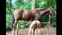 Mature Slut Sex With Horse Public
