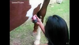 Latina Babe Orgams Sucking And Fucking Horse - Horse Porn
