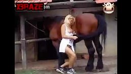 blonde girl blow big dick horse