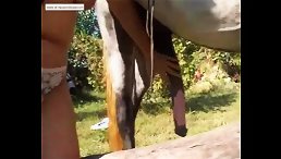 Mature Big tits Has Sex With Horse