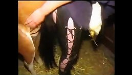 Dirty whore let horse fucking her
