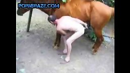 zoophile man and his horse Fuck Free - Animal Porn Free