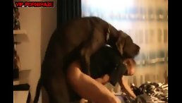 him trying ass with dog