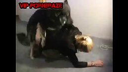 free animal porn - blonde raped by dog on floor