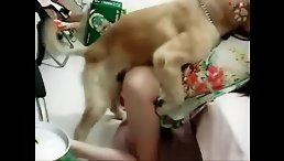 Dog ride his girl to fuck deep - Dog porn