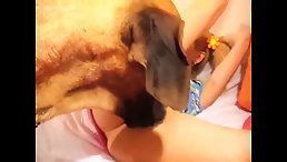 College Babe Fucked Dog In Motel