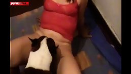 Good Dog Get Creaming Pussy Woman
