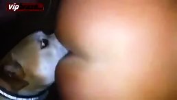best pussy licking by litte dog