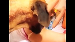 POV dog fucks teen girl - HD Dog sex