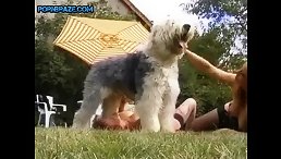 saucy redhead gets rumping from shaggy dog Lucky - Animal Porn Free