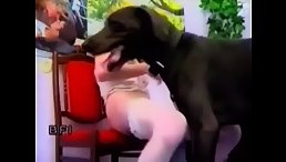 Black dog sex with his owner