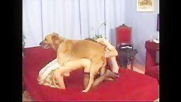 Dog sex videos - Couple getting threeway fucking