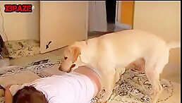 Skiny Milf With Nice Natural Fucked by Dog On Floor